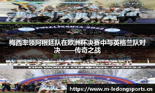 ld乐动体育