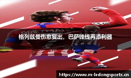 ld乐动体育官网