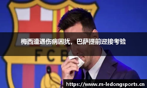 ld乐动体育官网