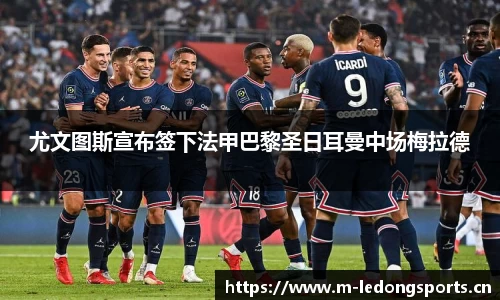 ld乐动体育