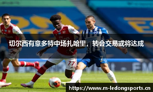 ld乐动体育