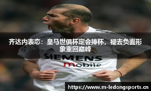 ld乐动体育官方网站