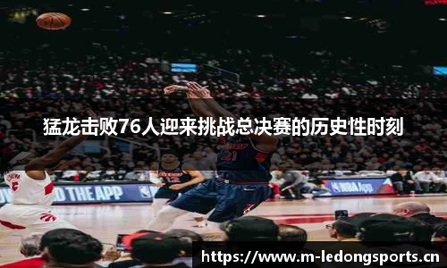 ld乐动体育平台