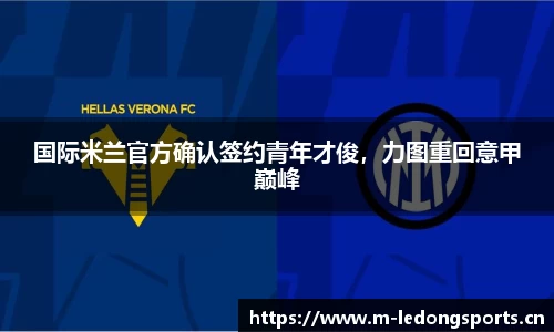 ld乐动体育