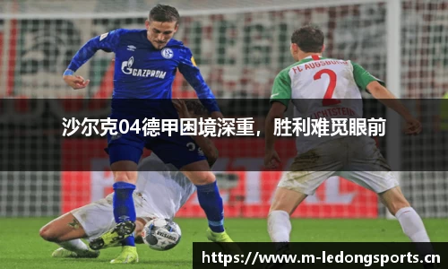 ld乐动体育官方网站