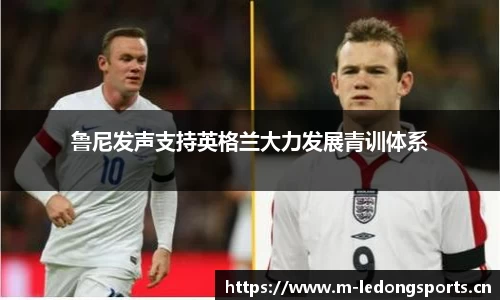 ld乐动体育