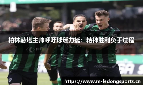 ld乐动体育
