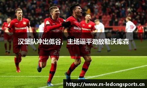 ld乐动体育官方网站