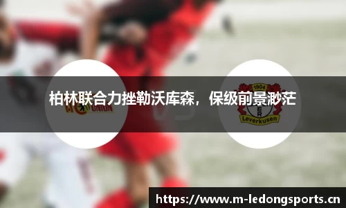 ld乐动体育平台