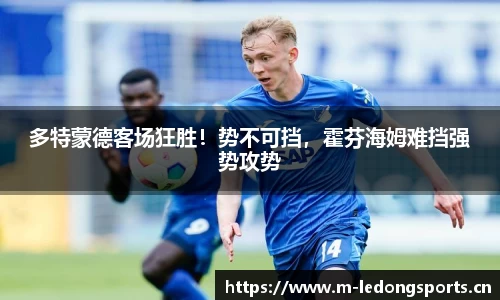 ld乐动体育