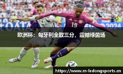 ld乐动体育平台