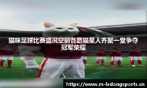 ld乐动体育平台
