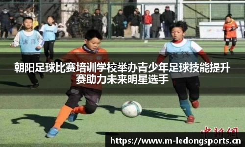 ld乐动体育平台
