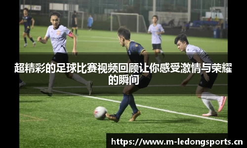ld乐动体育