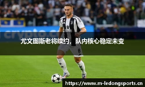 ld乐动体育平台