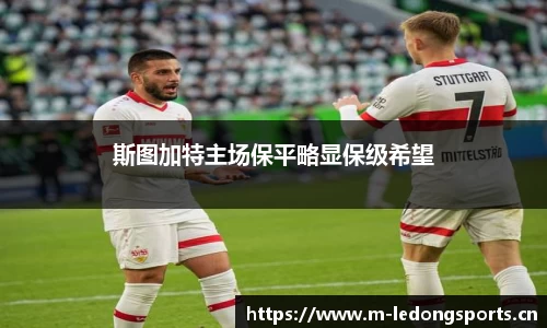 ld乐动体育平台