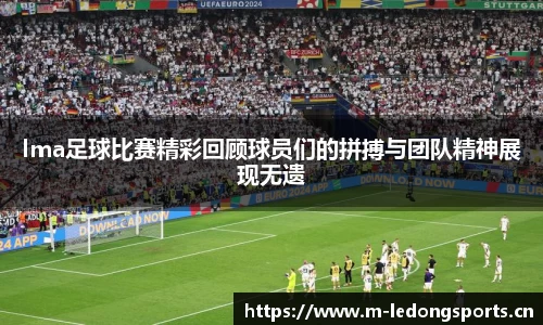 ld乐动体育