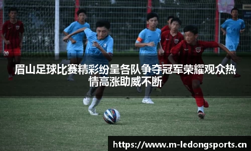 ld乐动体育官方网站