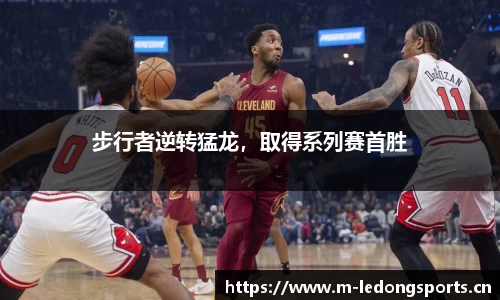 ld乐动体育平台