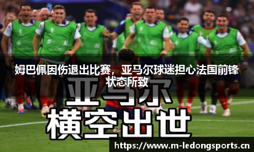 ld乐动体育平台