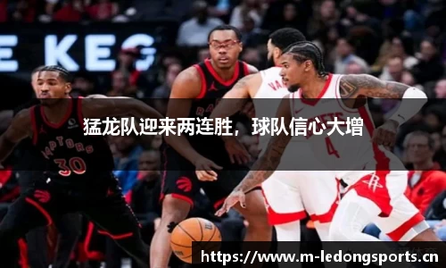 ld乐动体育平台