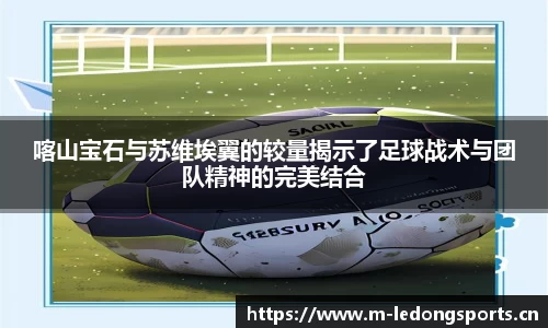 ld乐动体育