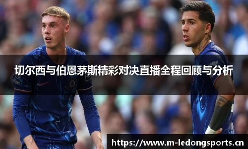 ld乐动体育平台