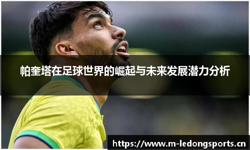 ld乐动体育