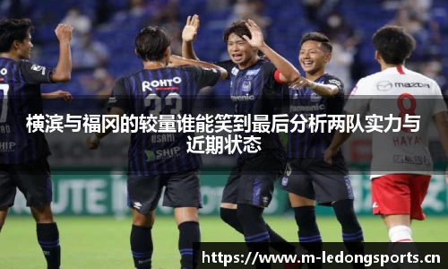 ld乐动体育