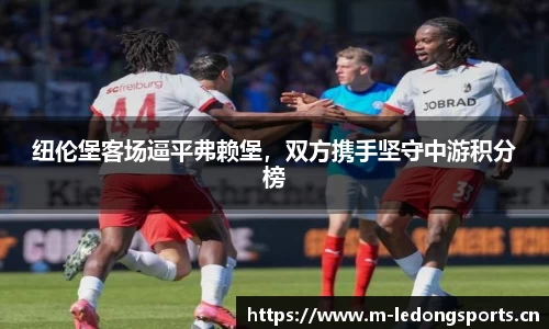 ld乐动体育
