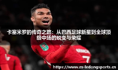 ld乐动体育官方网站