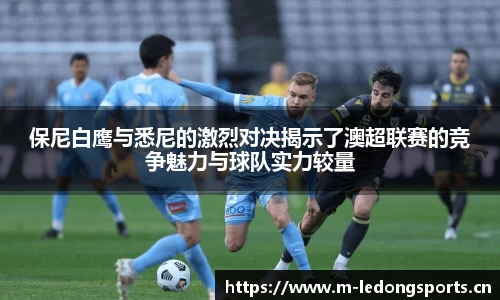 ld乐动体育