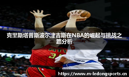 ld乐动体育