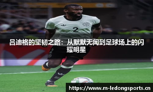 ld乐动体育平台