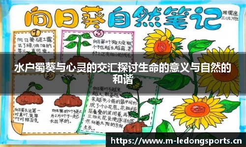 ld乐动体育官网