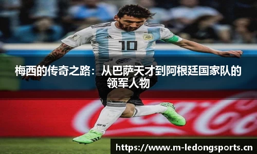 ld乐动体育官网